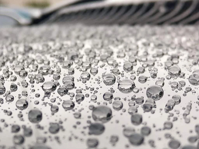 Ceramic-coated vehicle surface with tight, uniform water beading after professional exterior detailing.