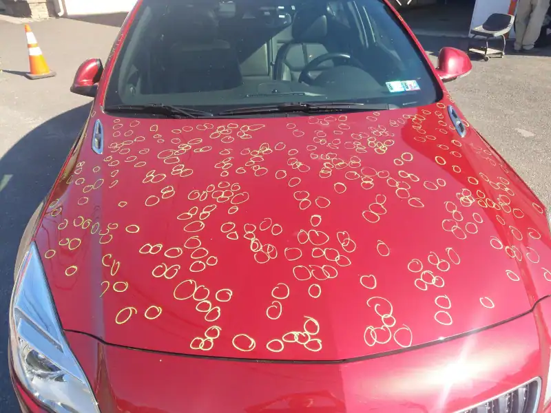 Hail damage on a Buick Regal suitable for paintless dent repair.